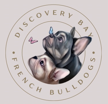 Welcome Logo